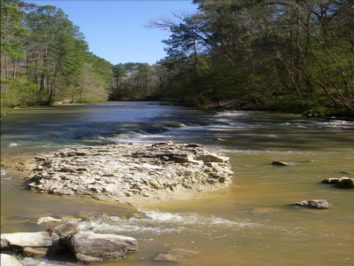 kisatchie-bayou